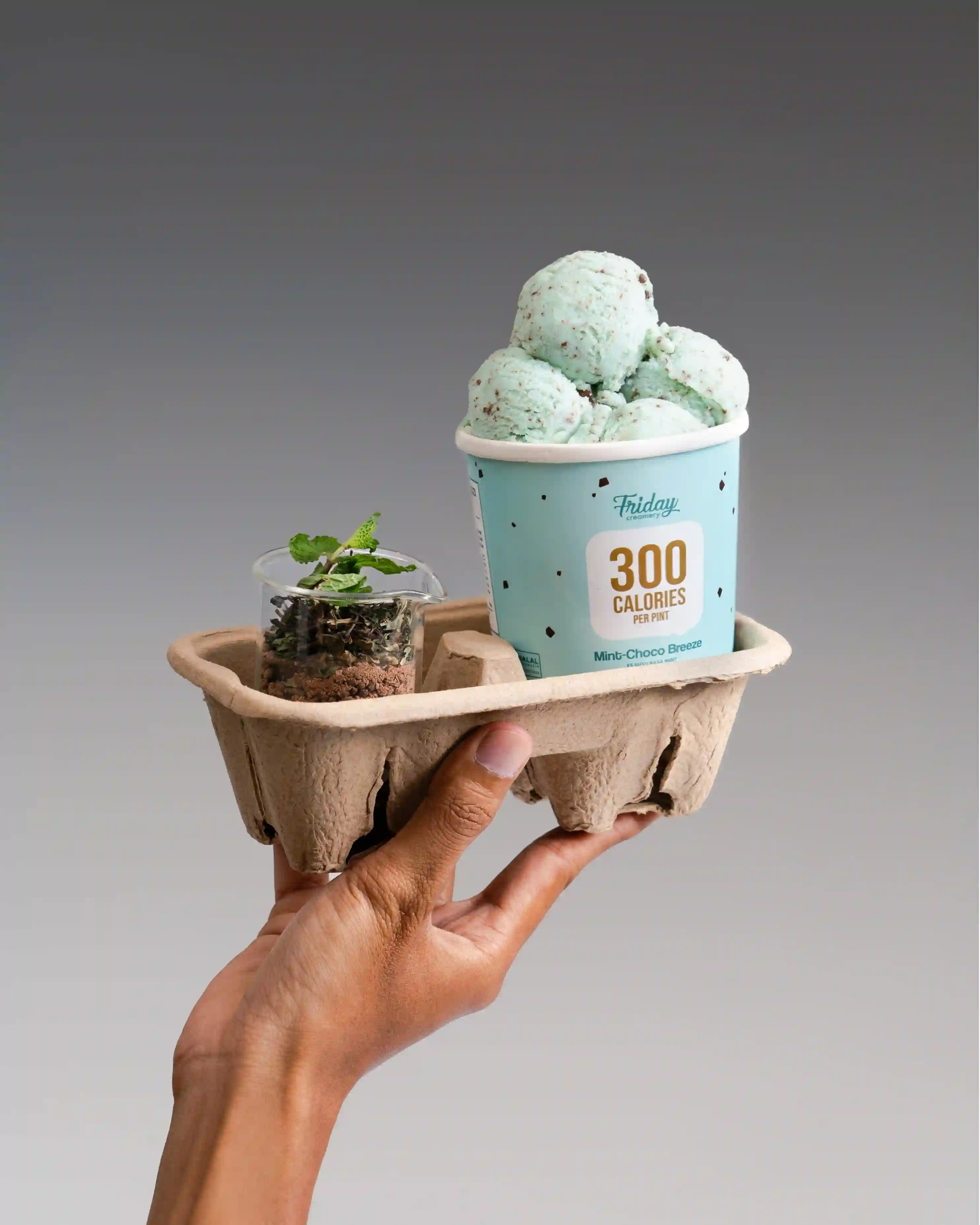 Mint Choco Breeze